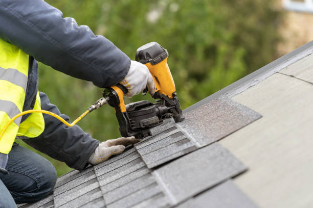Best Solar Panel Roofing Installation  in Prince George, VA